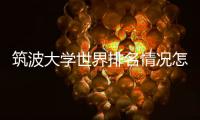 筑波大学世界排名情况怎么样？