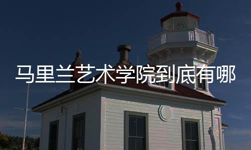 马里兰艺术学院到底有哪些过人之处?