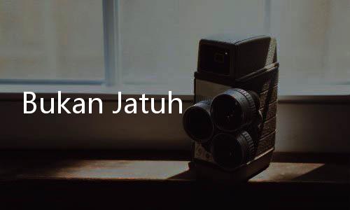 Bukan Jatuh, Polri Tegaskan Helikopter Kapolda Jambi Mendarat Darurat di Tebing