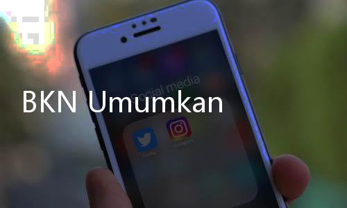 BKN Umumkan Jumlah Pelamar CPNS 2024 Capai 3,9 Juta Orang, Paling Banyak di Kemenkumham
