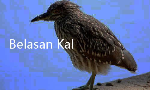Belasan Kali Beraksi, Jambret HP di Kebon Jeruk Keranjingan Judi Slot
