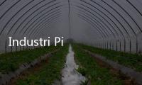 Industri Pinjaman Online Justru Tumbuh Pesat Hingga Rp81 Triliun, Tapi 7 Fintech Dicabut OJK!