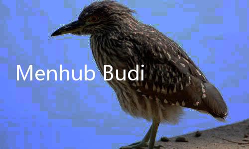 Menhub Budi Karya Sebut Pemerintah Dorong Penggunaan Kendaraan Listrik, Guna Kurangi Polusi