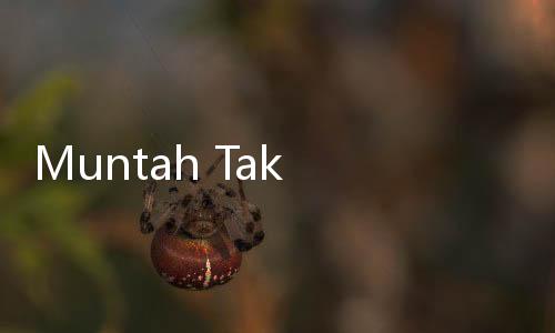Muntah Tak Disengaja, Puasa Batal atau Tidak?