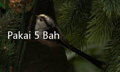 Pakai 5 Bahan Dapur Ini Buat Mengusir Cicak Biar Enggak Balik Lagi