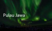 Pulau Jawa Semakin Padat, Jokowi Ungkap Keuntungan Masyarakat Jika Tinggal di IKN