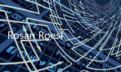 Rosan Roeslani Jabarkan Peran Danantara dalam Membangkitkan Investasi dan Industri Indonesia