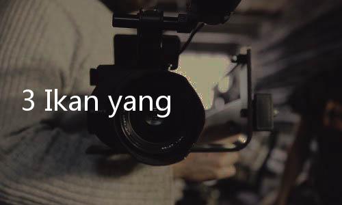 3 Ikan yang Mengandung Omega 6, Bagus untuk Kesehatan Jantung